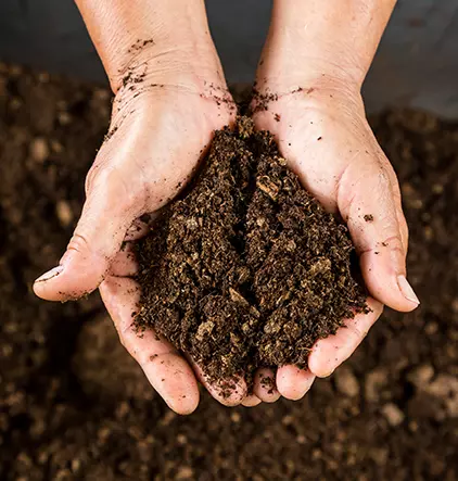 Ponty compost environnement : Découvrez l’entreprise Ponty Compost Environnement