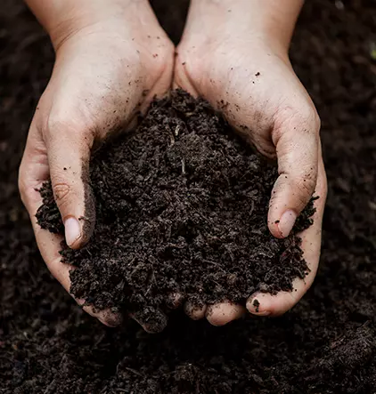 Ponty compost environnement : Découvrez l’entreprise Ponty Compost Environnement