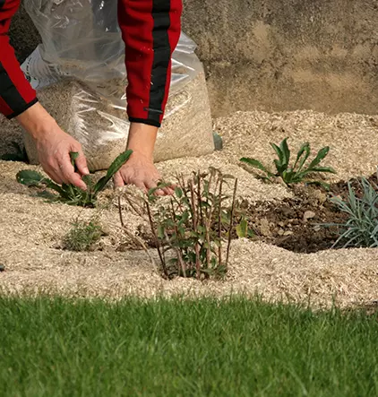 Ponty compost environnement : Découvrez l’entreprise Ponty Compost Environnement